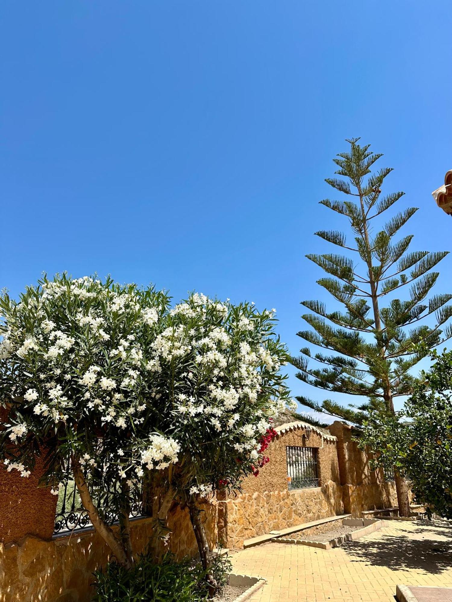 Casa Rural El Pomelo Zurgena Kültér fotó